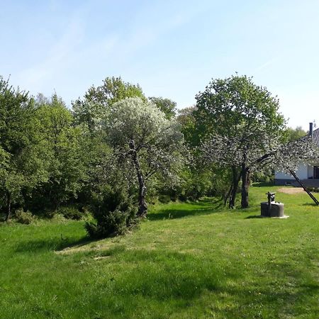 Villa Happiness Country Retreat Bubel Exterior foto
